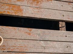 -高荡千年布依古寨旅游景区