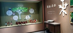 -太湖雪蚕桑文化园