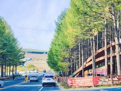 -塞罕坝国家级自然保护区