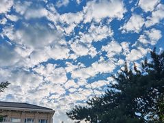 -农园餐厅(北京大学店)