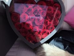 -ROSEONLY诺誓(国际广场购物中心店)