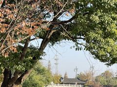 -黎里古镇