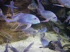 -成都浩海立方海洋公园