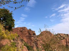 -红山国家森林公园