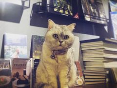 -研途咖啡馆(健康路店)