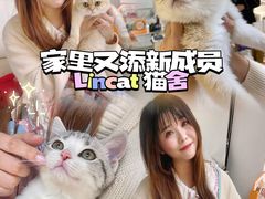 -lincat·猫舍(广州店)