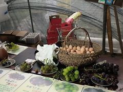 -马陆小张葡萄园农家乐