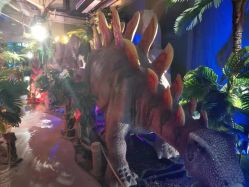 点击看大图 -恐龙探索乐园(磁器口店)