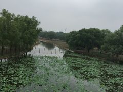 -北京麋鹿生态实验中心