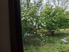 -东园小馆·早茶·淮扬小炒(宋夹城店)