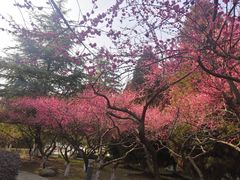 -白塘生态植物园