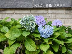 -济南植物园
