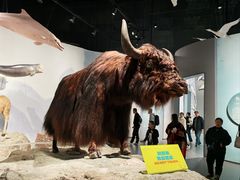 -中国湿地博物馆