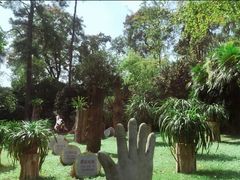 -南山植物园