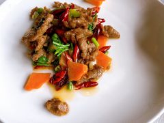 鹿肉-厉家菜(金宝街店)