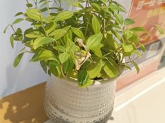 -山东宾馆·齐鲁苑餐厅