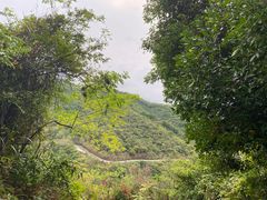 -阳台山森林公园