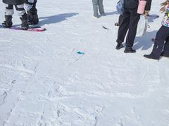 -采薇庄园四季滑雪场