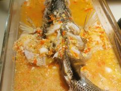 -肥猫(义乌万达店)