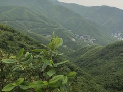 -莫干山风景区