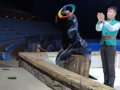 -哈尔滨波塞冬海底世界