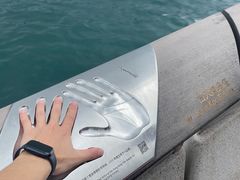 -星光大道