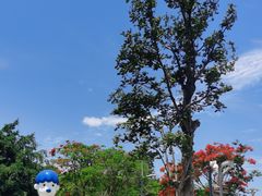 -海花岛旅游度假区