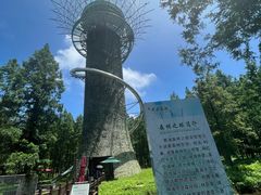 -黄海国家森林公园