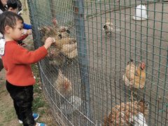 -前小桔亲子创意农场·草莓采摘·露营烧烤