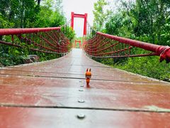 -上海吴淞炮台湾国家湿地公园