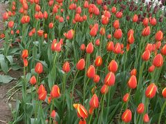 -长春公园(普阳街道)