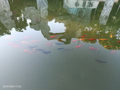 -南诏风情岛
