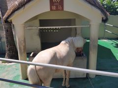 -三亚亚龙湾天域度假酒店