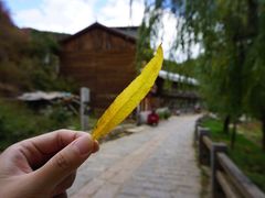 -大冰的小屋
