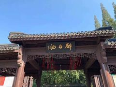 -上海醉白池公园
