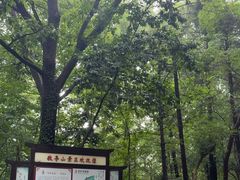 -敬亭山风景名胜区