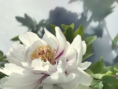 -太阳宫公园