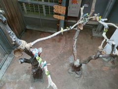 -正佳雨林生态植物园