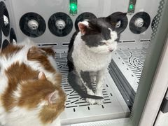 -FAELING PETS美天灵宠物(富力广场店)