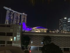 -新加坡文华东方酒店