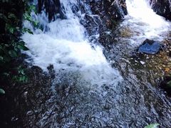 -莫里热带雨林景区