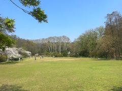-灵谷景区