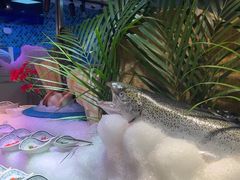 -乔哥铭洋海鲜自助(皇城恒隆广场店)