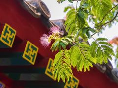 -北京颐和宾馆