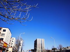 -牛老五羊杂汤(广阳区总店)