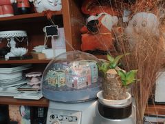 -咖咖熊蛋糕定制·蓝风车动物奶油