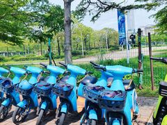 -巽寮印象美食部落餐厅·海鲜·地方特色菜(惠州体验店)