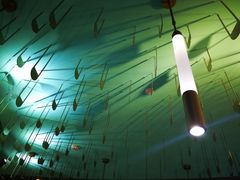 景观位-青花椒花椒鱼(合生汇店)