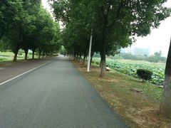 -艾溪湖湿地公园