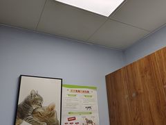 -纳吉亚猫专科动物诊疗中心(蒋宅口分院)